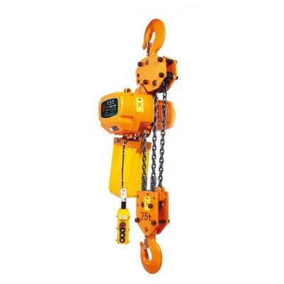 주문 소형 체인 호프트 1톤 2톤 3톤 호크형 전기 체인 호프트 online manufacture